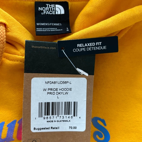 The North Face Pride Outdoors Together Hoodie--Sz L - Picture 13 of 15
